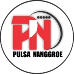 Logo of pulsananggroe android Application 